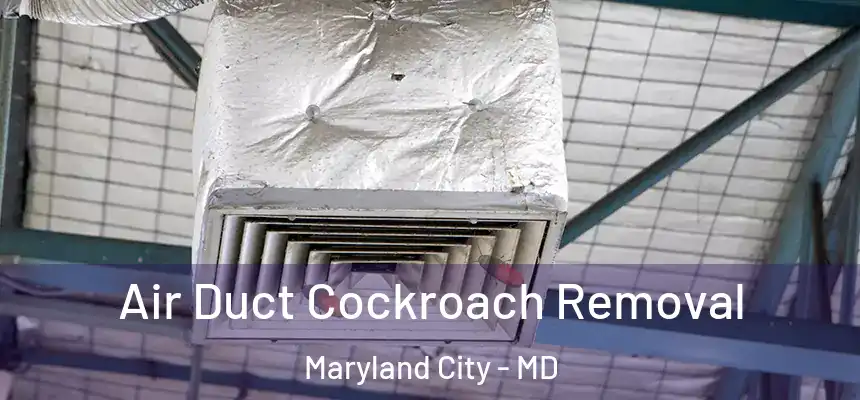  Air Duct Cockroach Removal Maryland City - MD