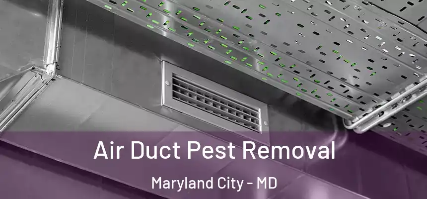  Air Duct Pest Removal Maryland City - MD