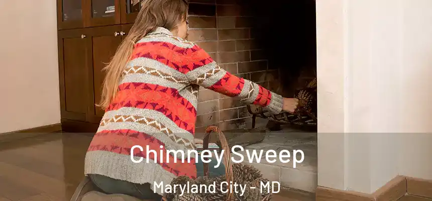  Chimney Sweep Maryland City - MD