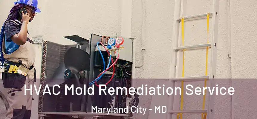 HVAC Mold Remediation Service Maryland City - MD