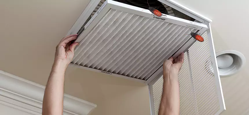 Preventive Cockroach-Proofing for Ducts in Maryland City