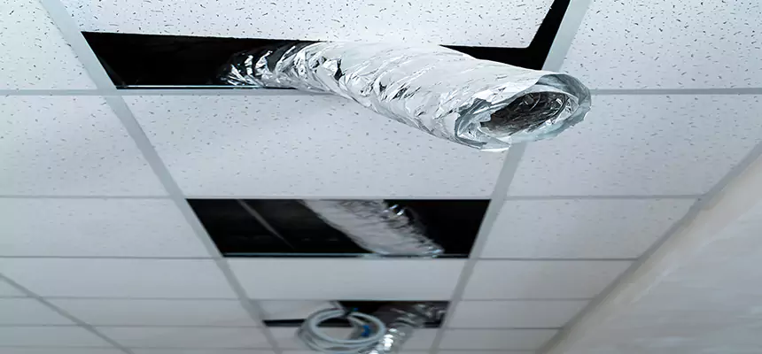 Affordable HVAC Sanitizing After Pest Removal in Maryland City