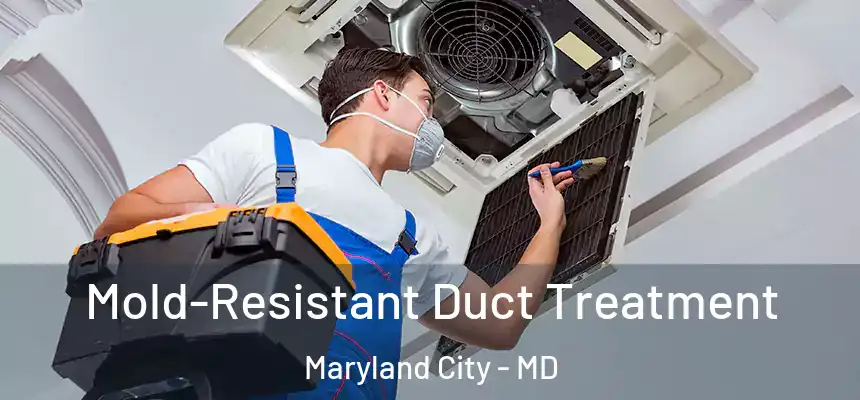  Mold-Resistant Duct Treatment Maryland City - MD
