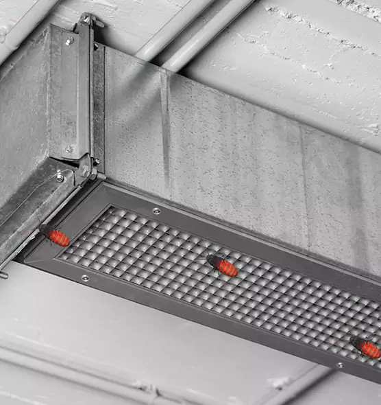 About Air Duct Cockroach Removal in Maryland City, MD