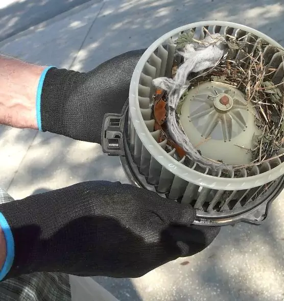 About Air Duct Rat Removal in Maryland City, MD