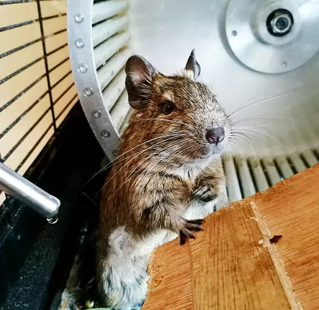 Why Homeowners & Businesses Trust Us Maryland City, MD